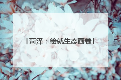 菏泽：绘就生态画卷