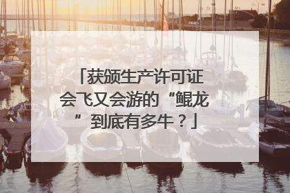获颁生产许可证 会飞又会游的“鲲龙”到底有多牛？