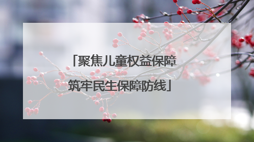 聚焦儿童权益保障 筑牢民生保障防线