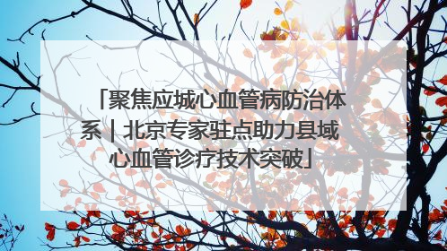 聚焦应城心血管病防治体系｜北京专家驻点助力县域心血管诊疗技术突破