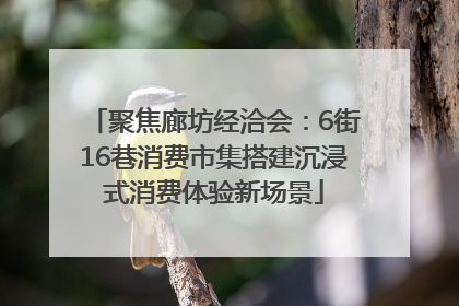 聚焦廊坊经洽会：6街16巷消费市集搭建沉浸式消费体验新场景
