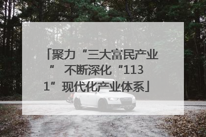 聚力“三大富民产业” 不断深化“1131”现代化产业体系
