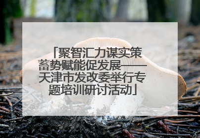 聚智汇力谋实策 蓄势赋能促发展——天津市发改委举行专题培训研讨活动