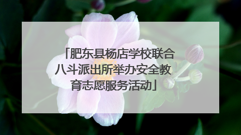 肥东县杨店学校联合八斗派出所举办安全教育志愿服务活动