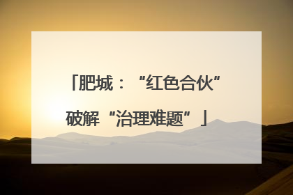 肥城：“红色合伙”破解“治理难题”