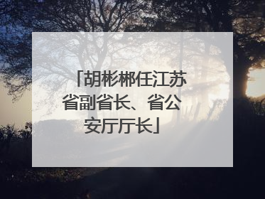 胡彬郴任江苏省副省长、省公安厅厅长