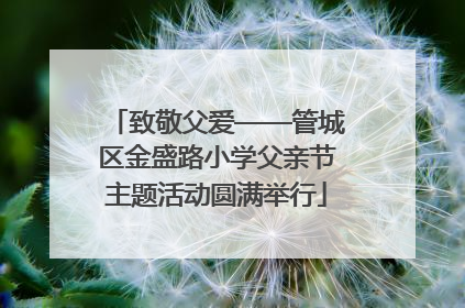 致敬父爱——管城区金盛路小学父亲节主题活动圆满举行