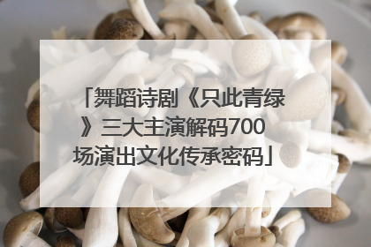 舞蹈诗剧《只此青绿》三大主演解码700场演出文化传承密码
