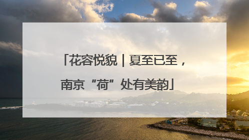 花容悦貌｜夏至已至，南京“荷”处有美韵