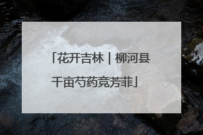 花开吉林｜柳河县千亩芍药竞芳菲