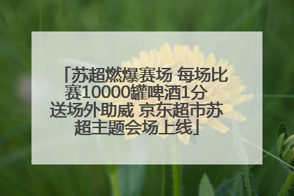 苏超燃爆赛场 每场比赛10000罐啤酒1分送场外助威 京东超市苏超主题会场上线