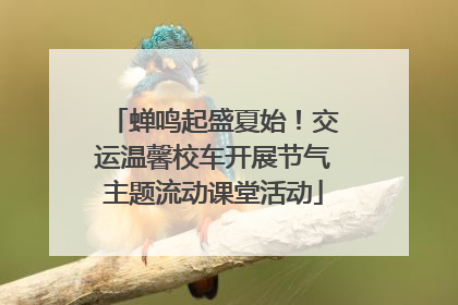 蝉鸣起盛夏始！交运温馨校车开展节气主题流动课堂活动