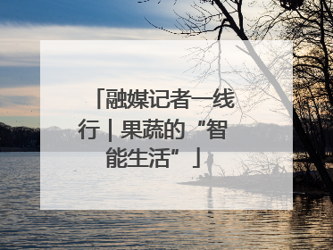 融媒记者一线行｜果蔬的“智能生活”
