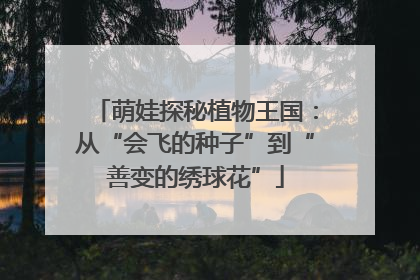 萌娃探秘植物王国：从“会飞的种子”到“善变的绣球花”