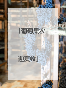 葡萄果农迎夏收