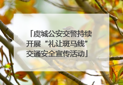 虞城公安交警持续开展“礼让斑马线”交通安全宣传活动