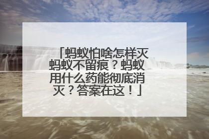 蚂蚁怕啥怎样灭蚂蚁不留痕？蚂蚁用什么药能彻底消灭？答案在这！