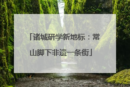 诸城研学新地标：常山脚下非遗一条街