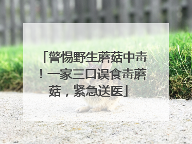警惕野生蘑菇中毒！一家三口误食毒蘑菇，紧急送医