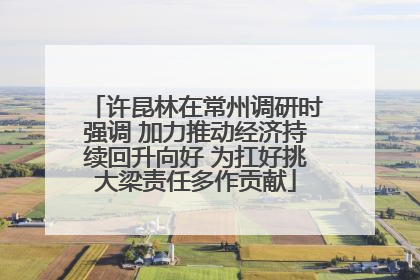 许昆林在常州调研时强调 加力推动经济持续回升向好 为扛好挑大梁责任多作贡献