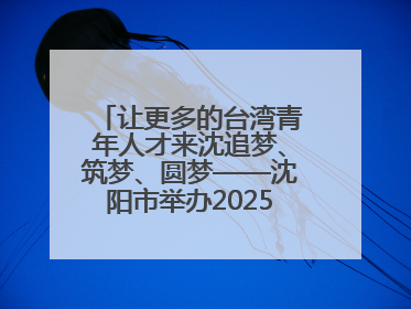 让更多的台湾青年人才来沈追梦、筑梦、圆梦——沈阳市举办2025“台湾博士沈阳行”活动