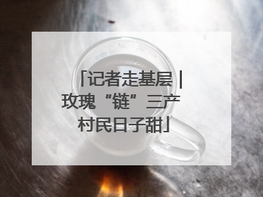 记者走基层｜玫瑰“链”三产 村民日子甜