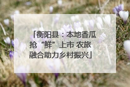 衡阳县：本地香瓜抢“鲜”上市 农旅融合助力乡村振兴