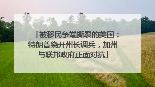 被移民争端撕裂的美国：特朗普绕开州长调兵，加州与联邦政府正面对抗