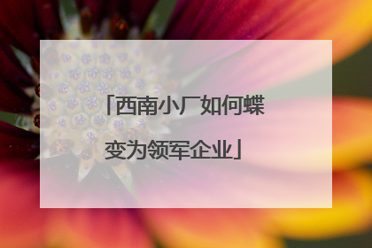 西南小厂如何蝶变为领军企业