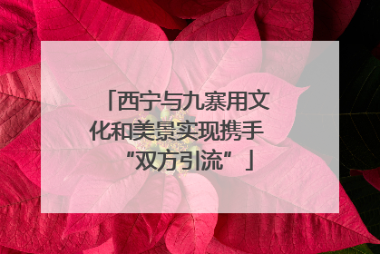 西宁与九寨用文化和美景实现携手“双方引流”