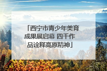 西宁市青少年美育成果展启幕 四千作品诠释高原精神