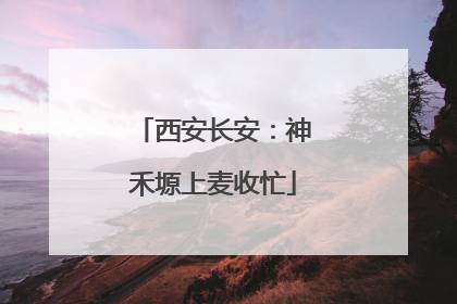 西安长安：神禾塬上麦收忙