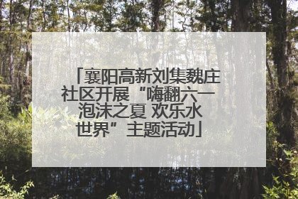 襄阳高新刘集魏庄社区开展“嗨翻六一 泡沫之夏 欢乐水世界”主题活动