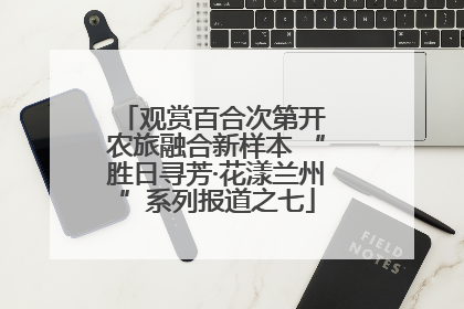 观赏百合次第开 农旅融合新样本 “胜日寻芳·花漾兰州”系列报道之七