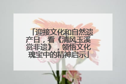 迎接文化和自然遗产日，看《清风玉溪赏非遗》，领悟文化瑰宝中的精神启示