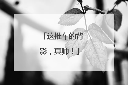 这推车的背影，真帅！