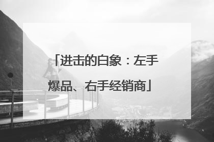进击的白象：左手爆品、右手经销商