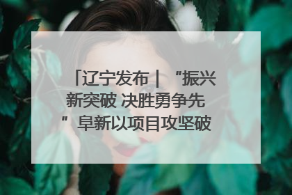 辽宁发布｜“振兴新突破 决胜勇争先”阜新以项目攻坚破解发展瓶颈 经济发展实现良好开局