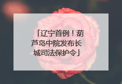 辽宁首例！葫芦岛中院发布长城司法保护令