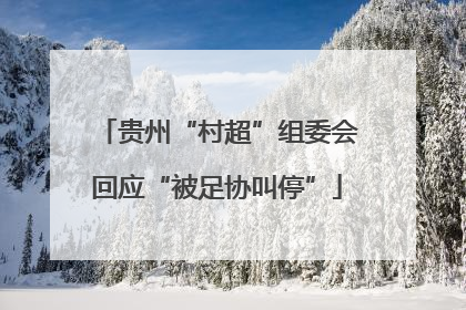 贵州“村超”组委会回应“被足协叫停”
