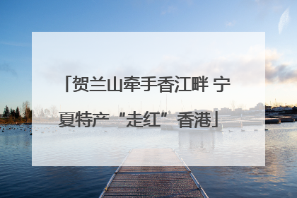 贺兰山牵手香江畔 宁夏特产“走红”香港