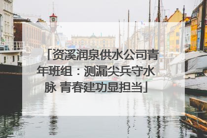 资溪润泉供水公司青年班组：测漏尖兵守水脉 青春建功显担当