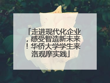 走进现代化企业，感受智造新未来！华侨大学学生来洛观摩实践
