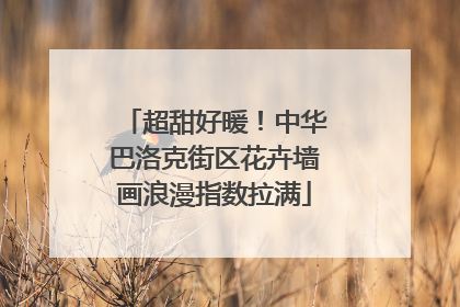 超甜好暖！中华巴洛克街区花卉墙画浪漫指数拉满