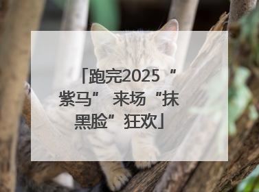 跑完2025“紫马” 来场“抹黑脸”狂欢