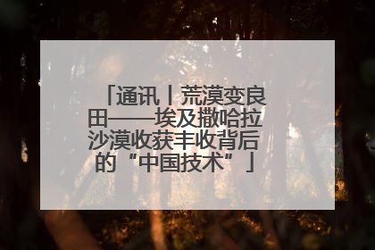 通讯丨荒漠变良田——埃及撒哈拉沙漠收获丰收背后的“中国技术”