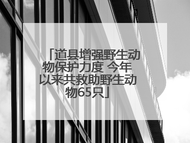 道县增强野生动物保护力度 今年以来共救助野生动物65只