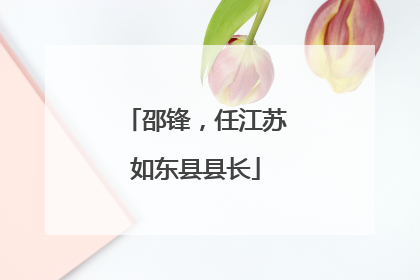 邵锋，任江苏如东县县长