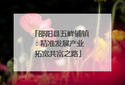 邵阳县五峰铺镇：精准发展产业 拓宽共富之路