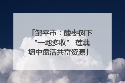 邹平市：酸枣树下“一地多收” 莲藕塘中盘活共富资源